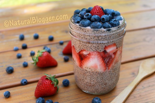 ChocolateChiaPudding1